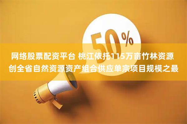 网络股票配资平台 桃江依托115万亩竹林资源 创全省自然资源资产组合供应单宗项目规模之最